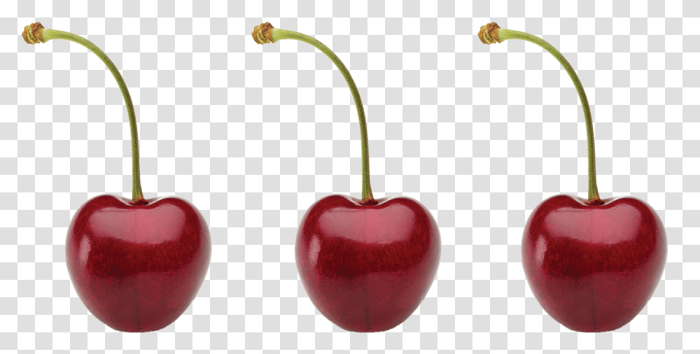 Cherry, Plant, Fruit, Food Transparent Png