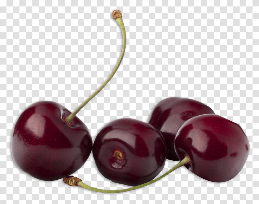 Cherry, Plant, Fruit, Food Transparent Png