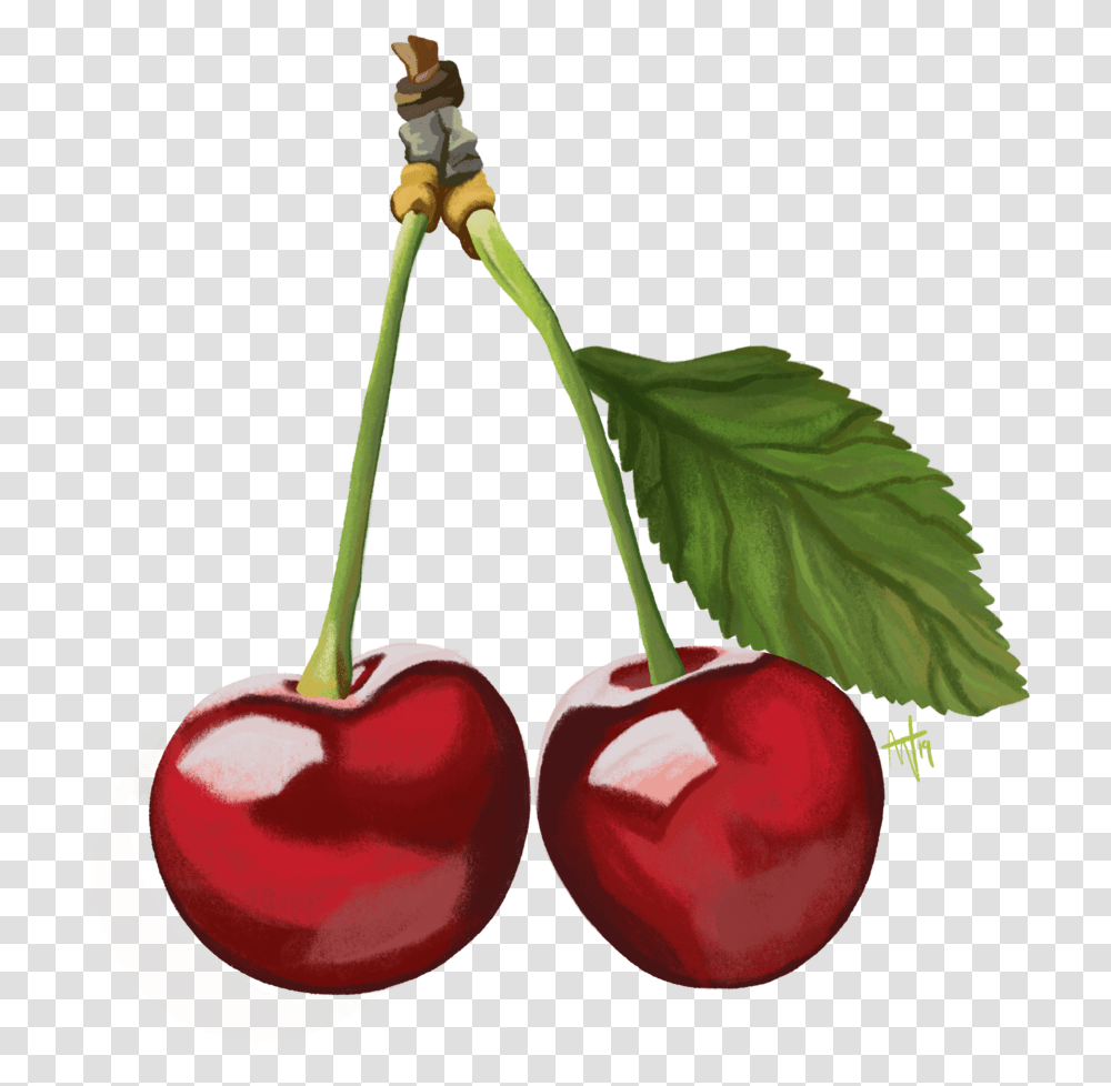 Cherry, Plant, Fruit, Food Transparent Png