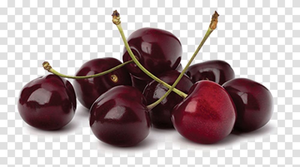 Cherry, Plant, Fruit, Food Transparent Png