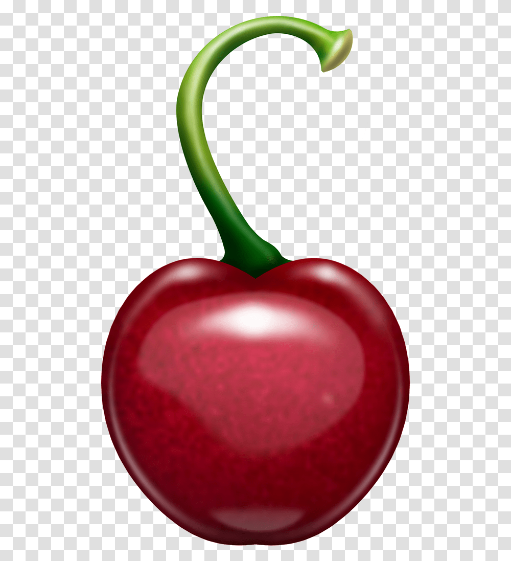 Cherry, Plant, Fruit, Food Transparent Png