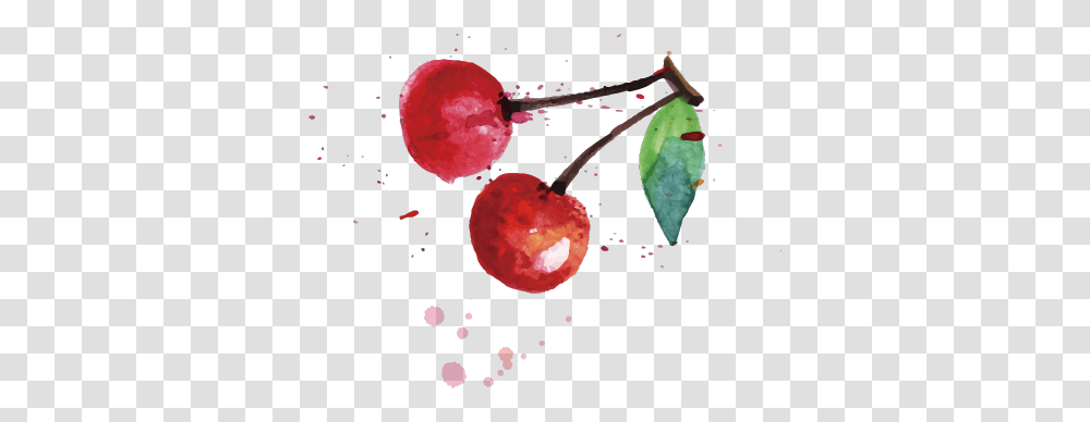 Cherry, Plant, Fruit, Food Transparent Png