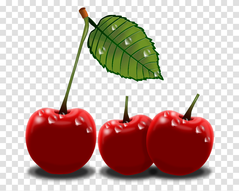 Cherry Plants Clip Art Image, Fruit, Food Transparent Png
