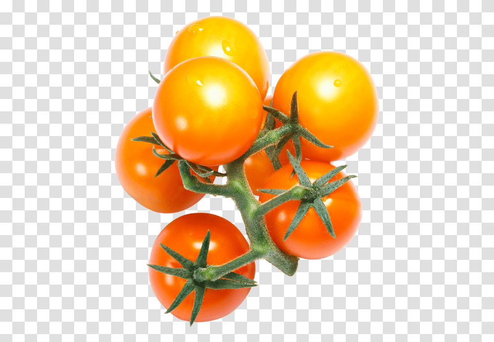 Cherry Tomato Cherry Tomatoes, Plant, Vegetable, Food, Produce Transparent Png