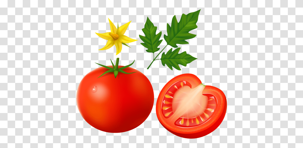 Cherry Tomato Clipart Long, Plant, Vegetable, Food, Leaf Transparent Png
