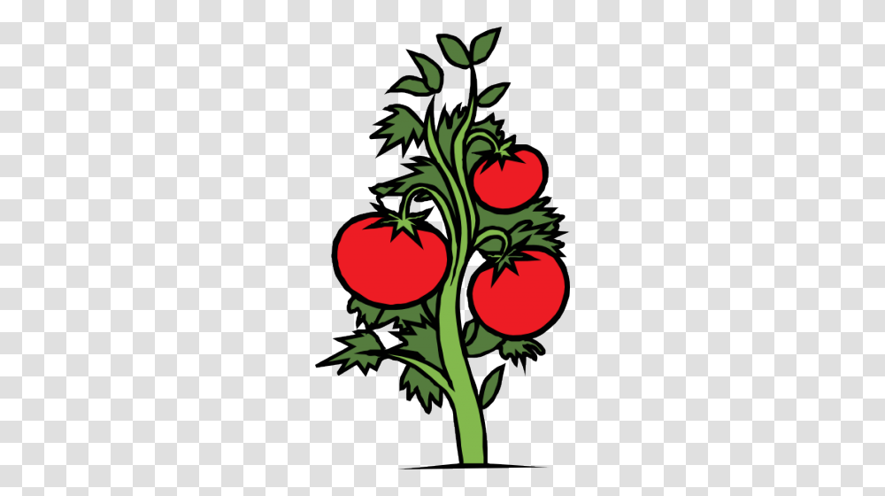 Cherry Tomato Clipart Squash Plant, Radish, Vegetable, Food, Pineapple Transparent Png