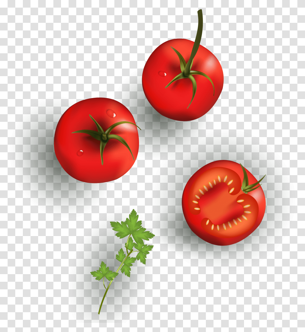 Cherry Tomato Vegetable Drawing Food Vegetable Drawing With Texture, Plant Transparent Png