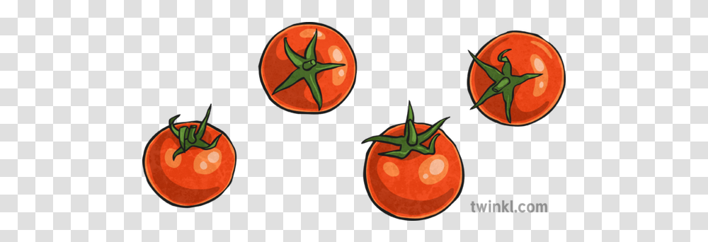Cherry Tomatoes Illustration Twinkl, Plant, Food, Vegetable Transparent Png