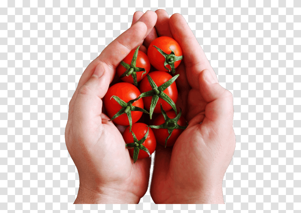 Cherry Tomatoes, Person, Human, Plant, Food Transparent Png