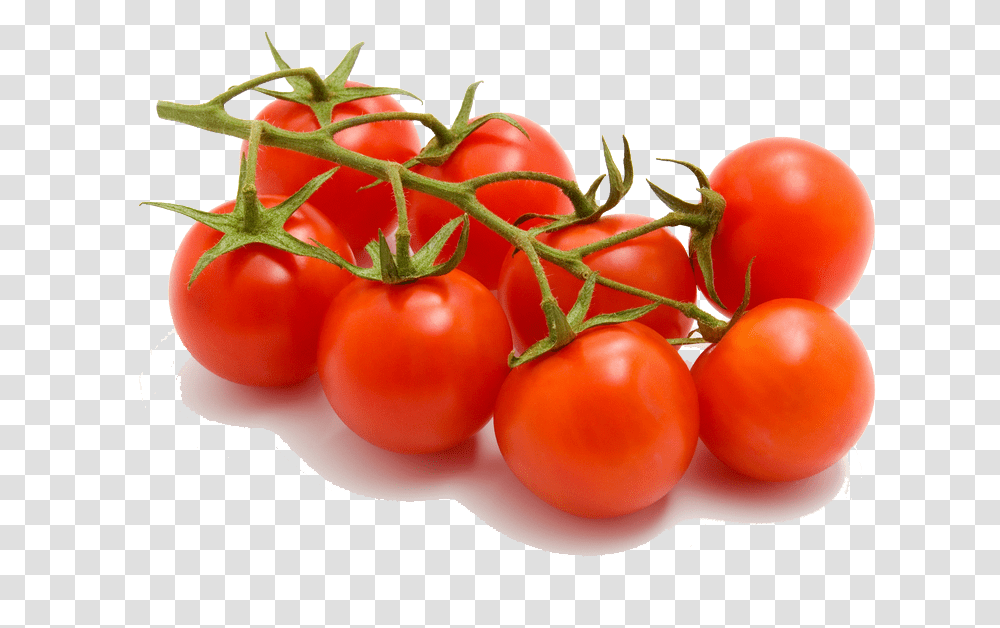 Cherry Tomatoes Pictures To Pin Organic Tomato, Plant, Vegetable, Food, Orange Transparent Png