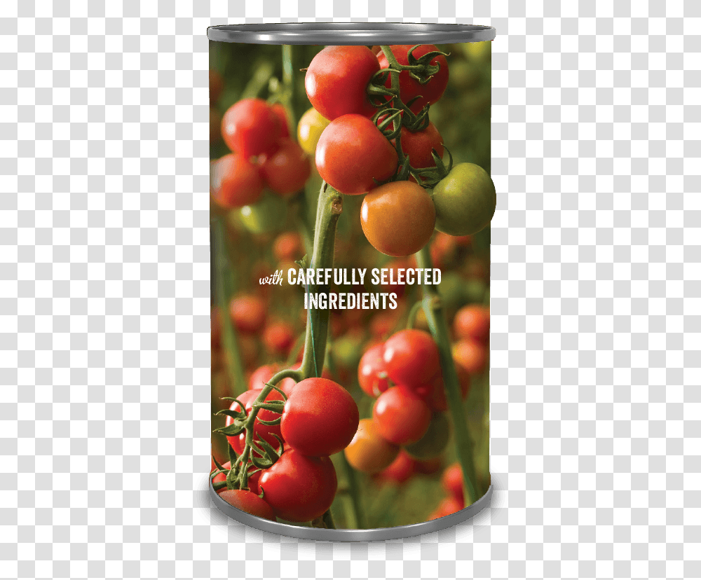 Cherry Tomatoes, Plant, Food, Vegetable, Fruit Transparent Png