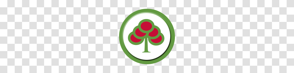 Cherry Tree Academy, Logo, Plant Transparent Png