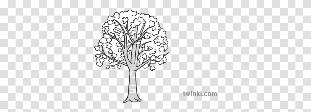 Cherry Tree Black And White 1 Illustration Twinkl Care For Animals Black And White, Plant, Graphics, Art, Floral Design Transparent Png