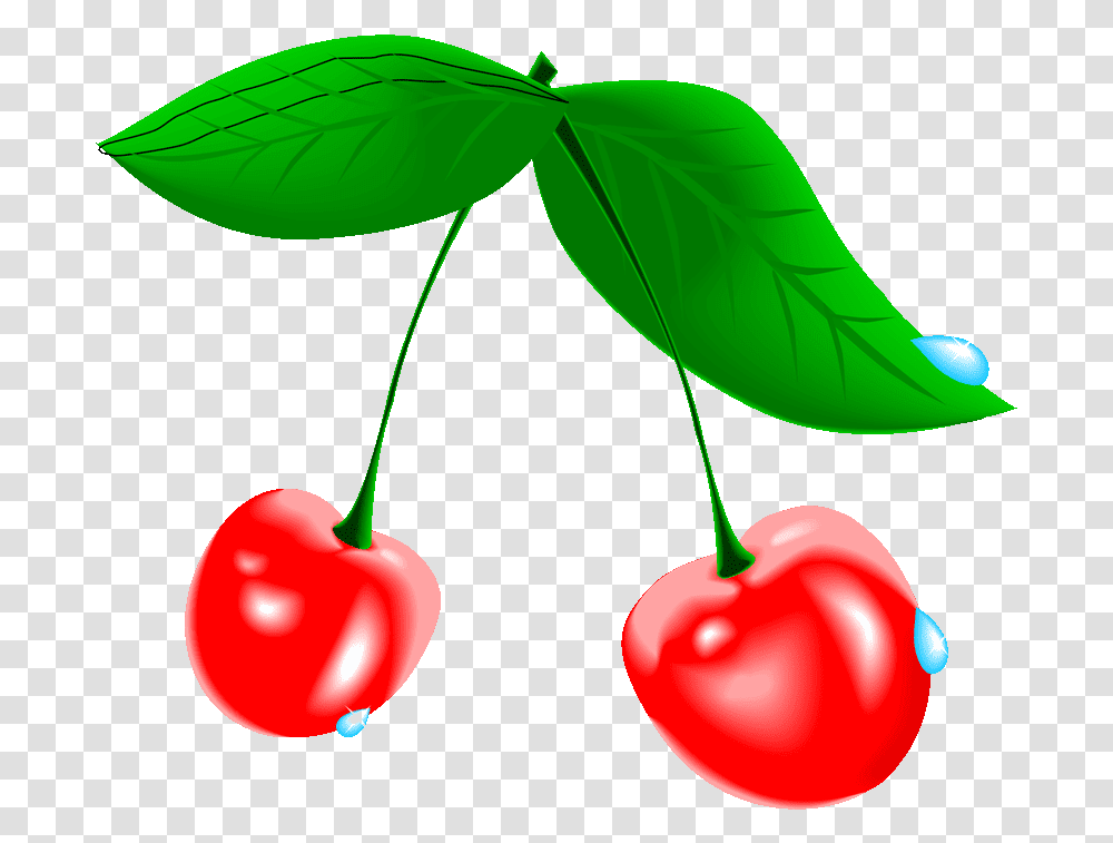 Cherry Tree Clipart At Free For Personal Cherry Blossom Fruit, Plant, Food Transparent Png