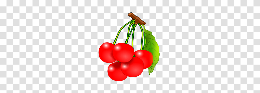 Cherry Tree Clipart Guava Tree, Plant, Fruit, Food, Balloon Transparent Png