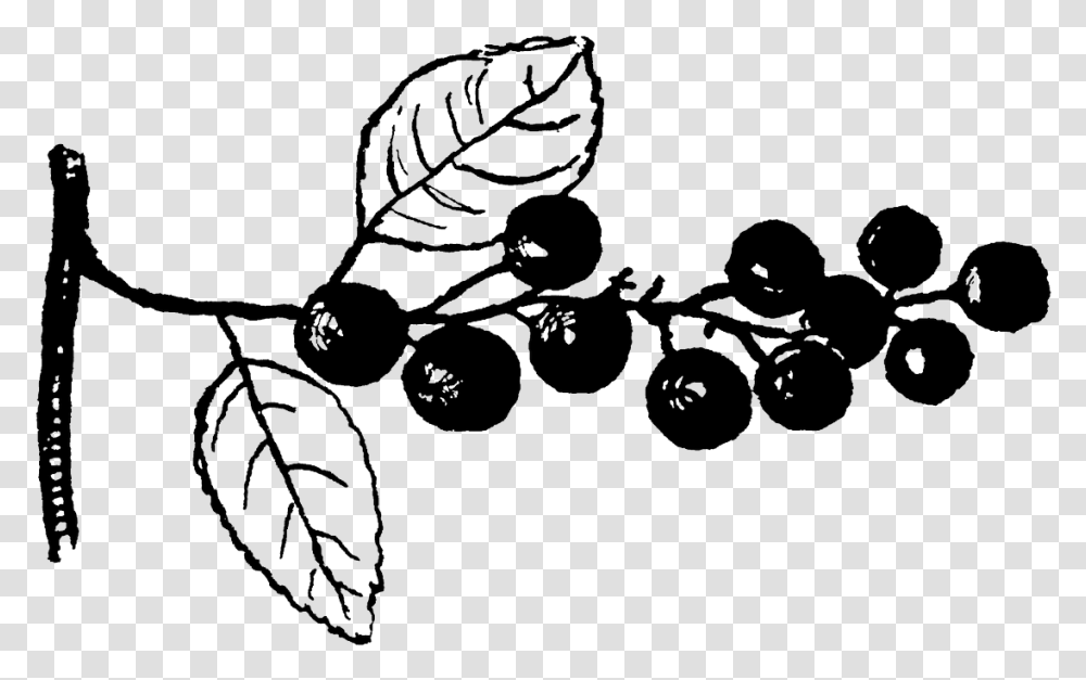 Cherry Tree Clipart Illustration, Plant, Leaf, Fern Transparent Png