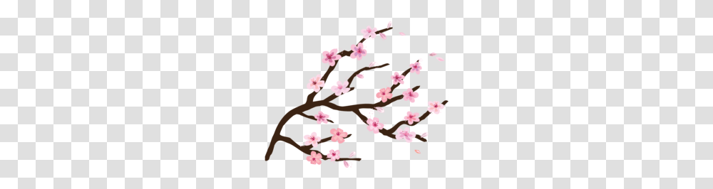 Cherry Tree Clipart, Plant, Cherry Blossom, Flower, Rug Transparent Png