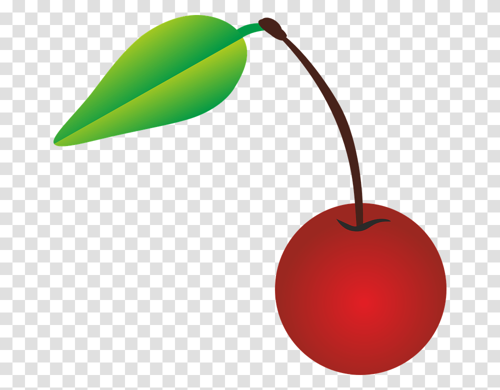 Cherry Vector Image, Plant, Fruit, Food, Lamp Transparent Png