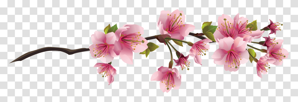 Cherryblossom Aesthetic Tumblr Vaporwave Sakura Flower Background, Plant, Petal, Anther, Cherry Blossom Transparent Png