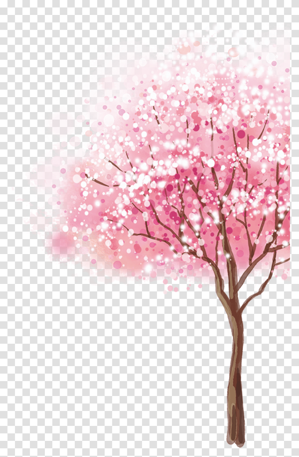 Cherryblossom Tree Cherry Blossom Tree Background, Plant, Flower Transparent Png
