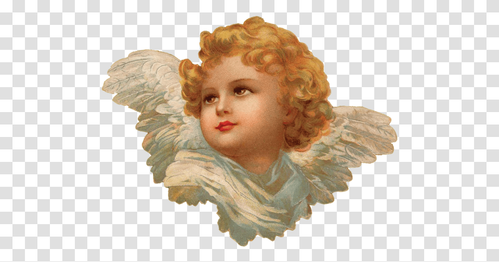 Cherub Angel, Person, Human, Archangel Transparent Png