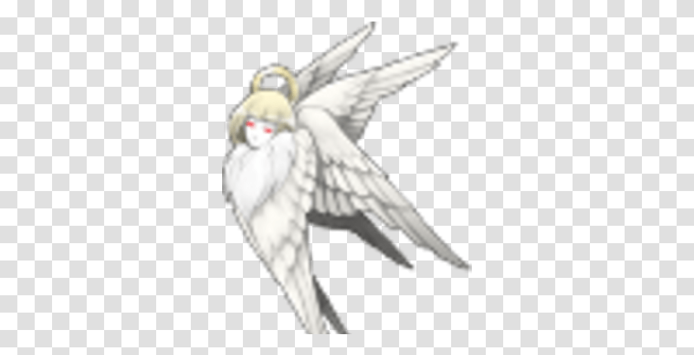 Cherub Cockatiel, Animal, Bird, Owl, Flying Transparent Png