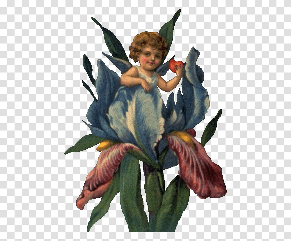 Cherub In Iris Ldm Eu Sou Assim, Person, Human, Plant Transparent Png