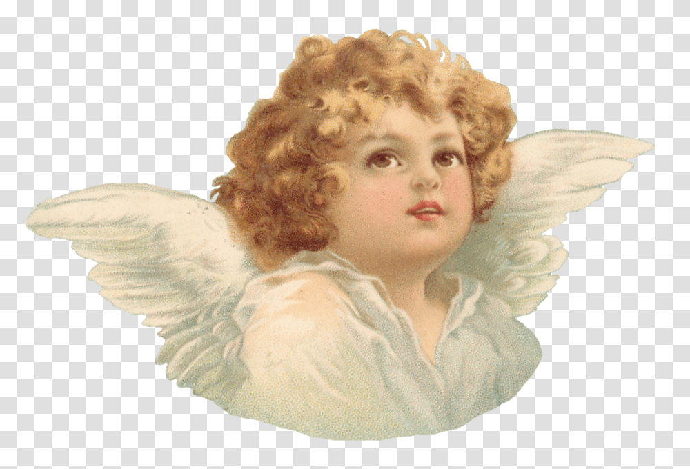 Cherub Torso 2 Angel Background, Art, Person, Human, Archangel Transparent Png
