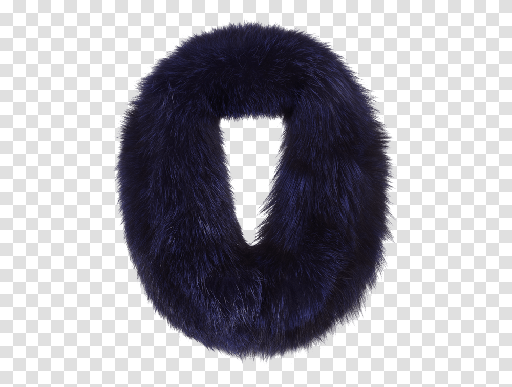 Cheryl Scarf, Fur, Bear, Wildlife, Mammal Transparent Png