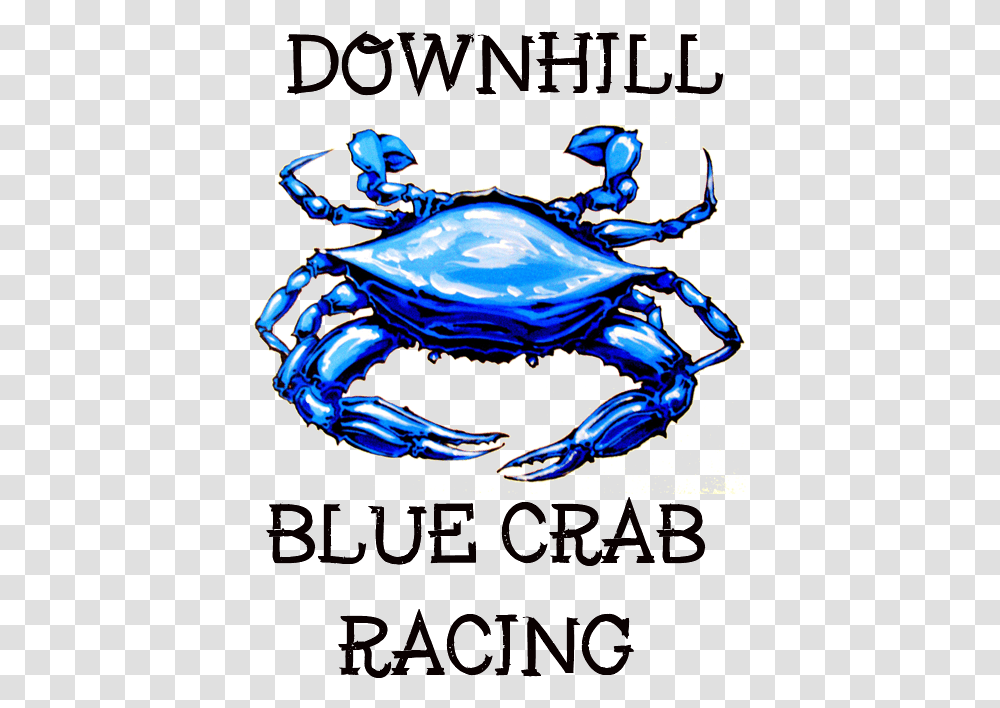 Chesapeake Blue Crab, Food, Sea Life, Animal, Seafood Transparent Png