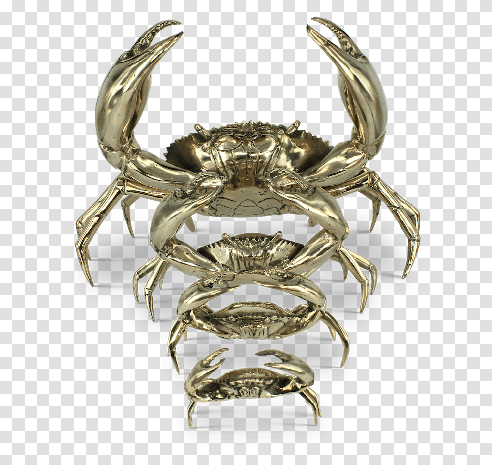 Chesapeake Blue Crab, Jewelry, Accessories, Accessory, Brooch Transparent Png