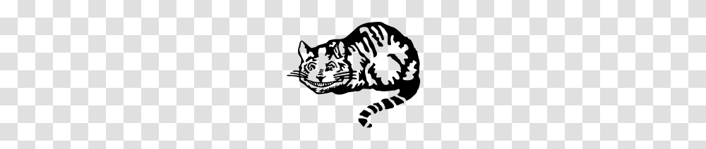 Cheshire Cat, Gray, World Of Warcraft Transparent Png