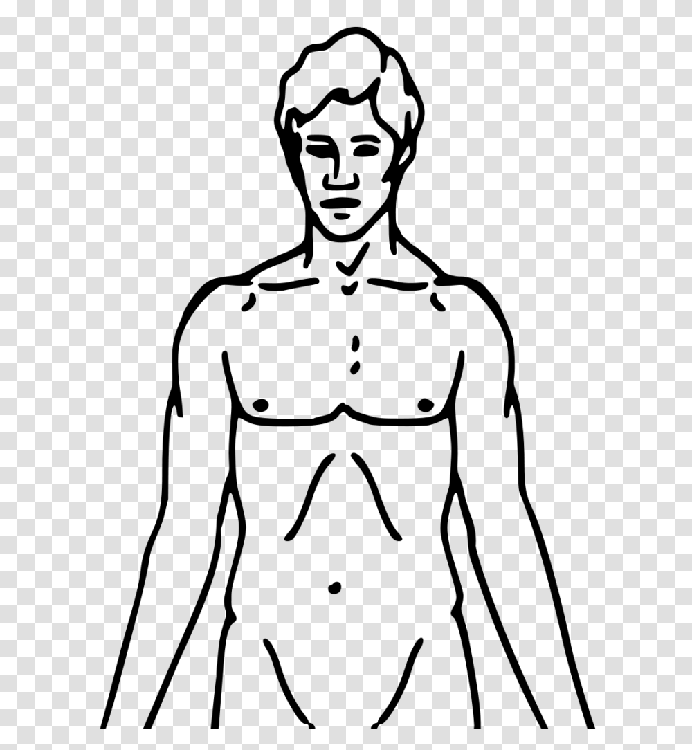 Chest Clipart Black And White Of Body Winging, Gray, World Of Warcraft Transparent Png