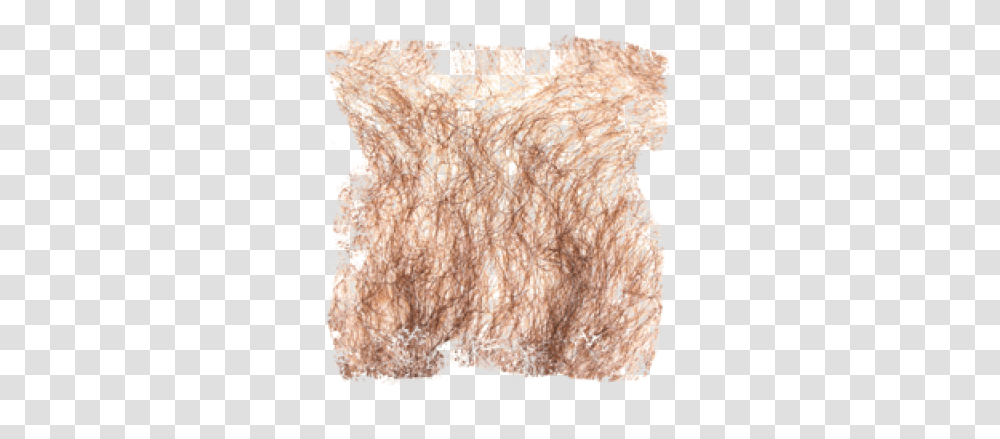 Chest Hair Aztec Chesthair, Rock, Skin, Fungus, Plot Transparent Png