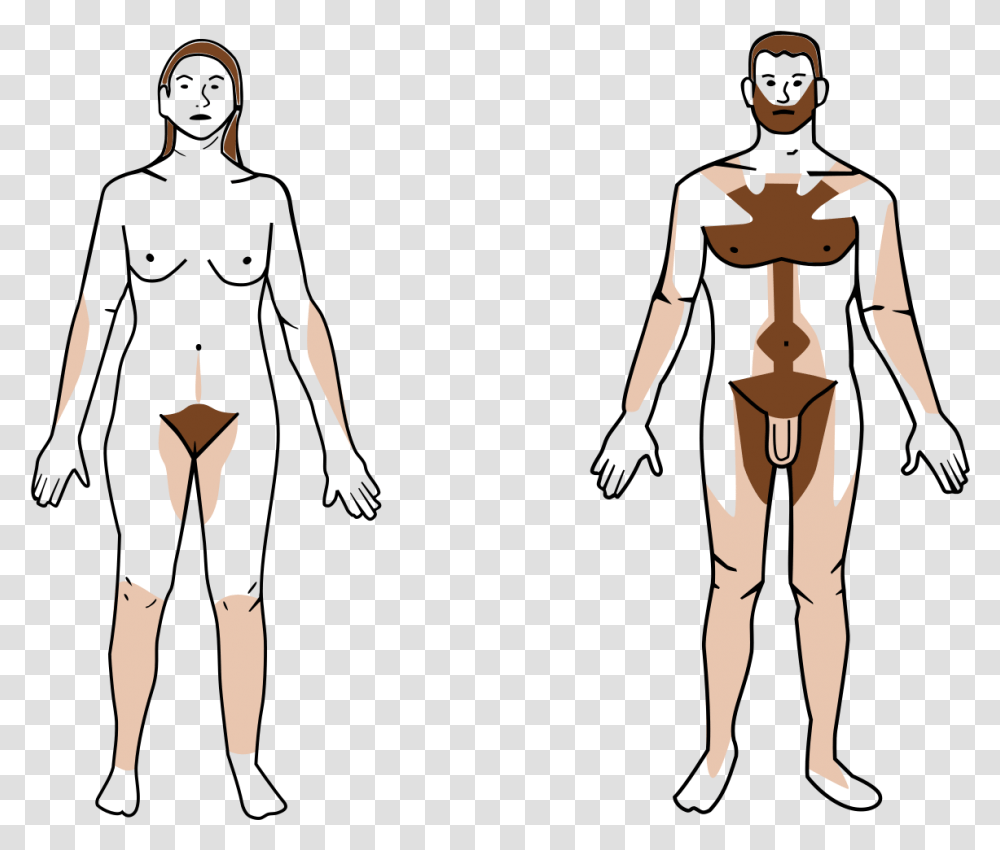 Chest Hair Body Hair, Person, Human, Face Transparent Png
