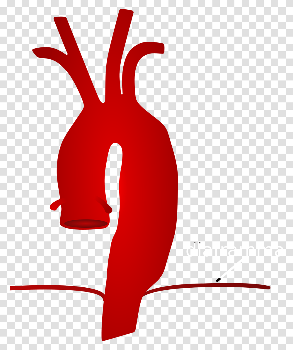 Chest Pain Clipart Aorta, Text, Graphics, Animal, Food Transparent Png