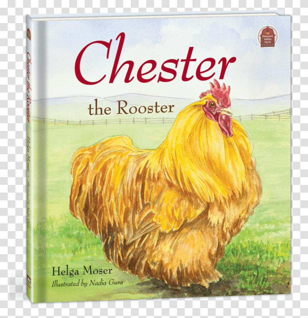 Chester The Rooster, Chicken, Poultry, Fowl, Bird Transparent Png