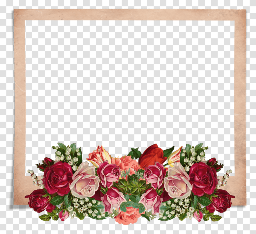 Chestit 8 Mi Mart Bingkai Foto Bunga, Plant, Flower, Blossom, Rose Transparent Png