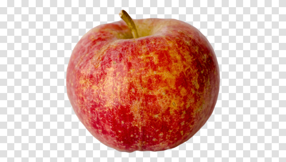 Chestnut Apple Tree - Champlain Orchards, Fruit, Plant, Food, Peel Transparent Png