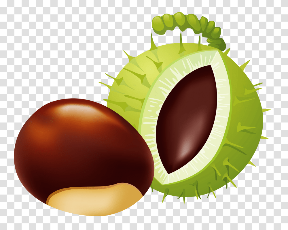 Chestnut Clip Art, Plant, Produce, Food, Vegetable Transparent Png