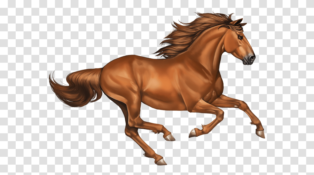 Chestnut Clipart Horse Mustang, Mammal, Animal, Colt Horse, Person Transparent Png