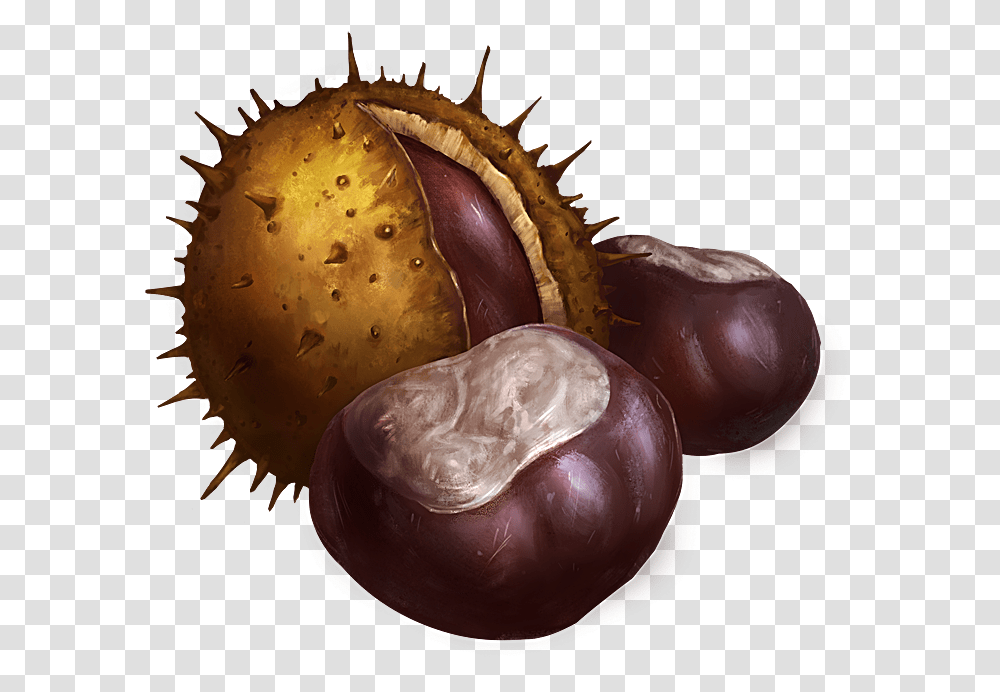 Chestnuts Fruit, Plant, Vegetable, Food, Produce Transparent Png