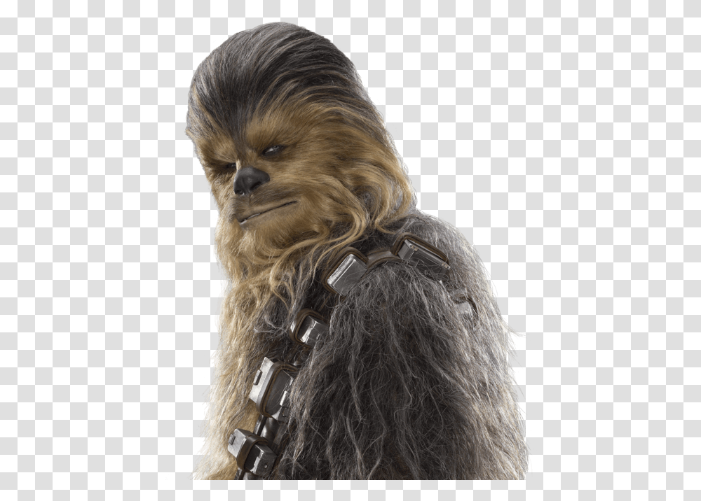 Chewbacca Happy Star Wars Day Wookie, Mammal, Animal, Wildlife, Sunglasses Transparent Png