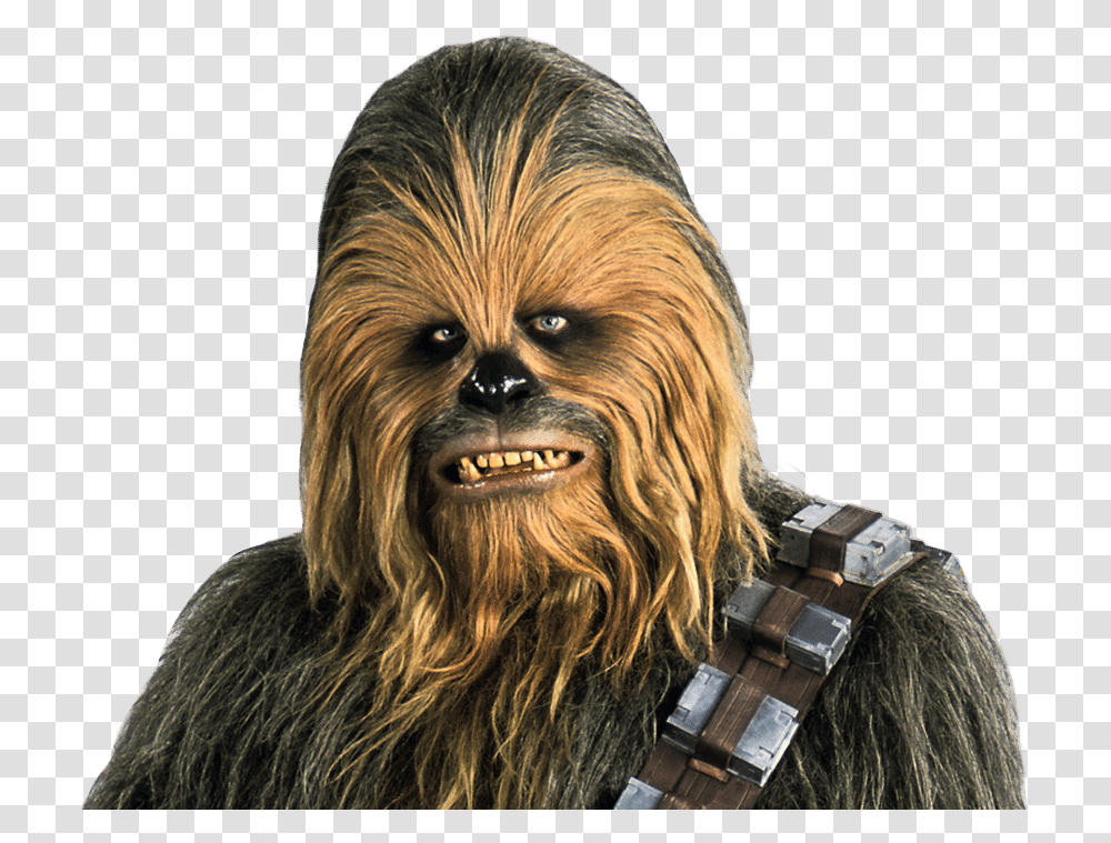 Chewbacca, Head, Face, Person, Hair Transparent Png