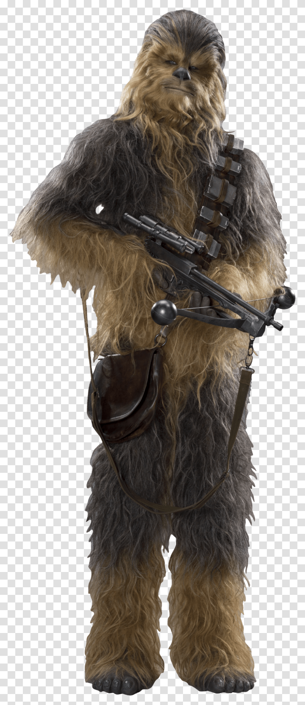 Chewbacca Star Wars Ep7 The Force Awakens Characters Star Wars Characters, Strap, Harness, Person, Human Transparent Png