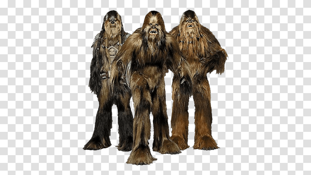 Chewbacca Star Wars Wookie Race, Fur, Painting, Art, Clothing Transparent Png