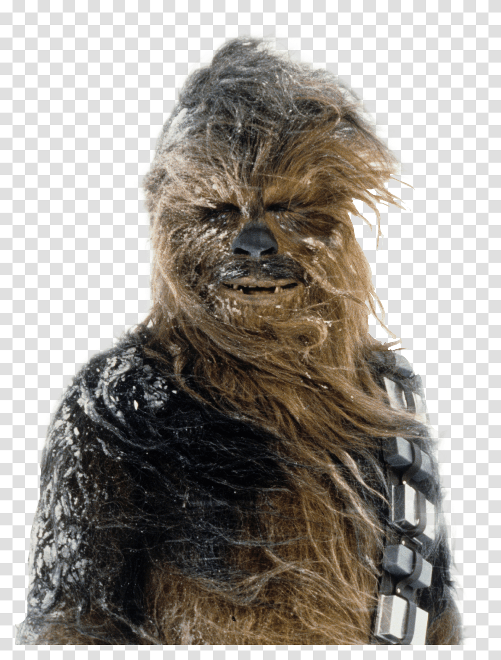Chewbacca Starwars Transparent Png
