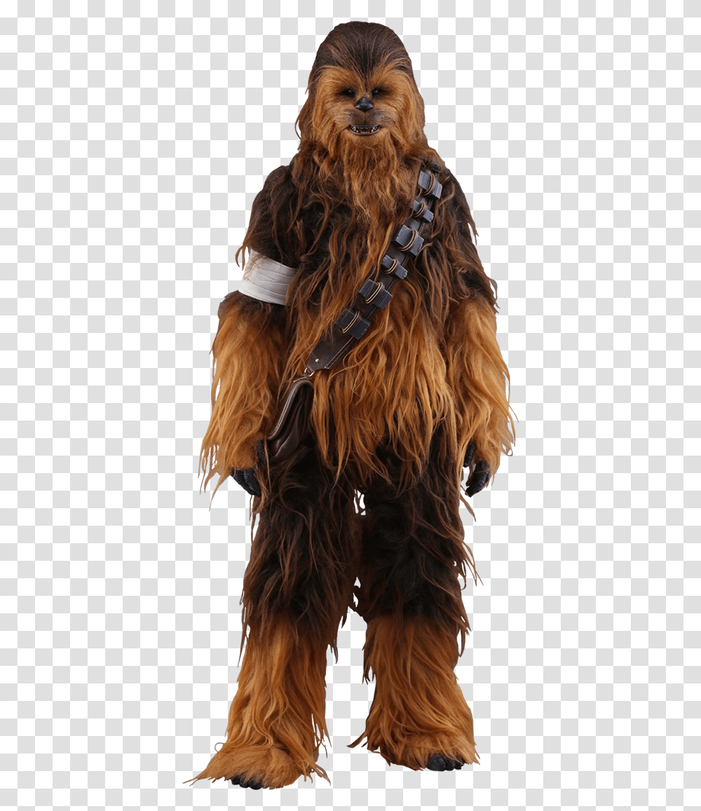Chewbacca The Force Awakens, Hair, Apparel, Accessories Transparent Png