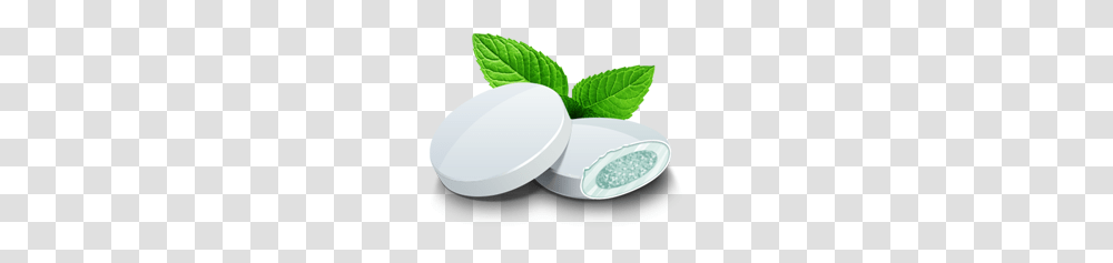 Chewing Gum, Food, Plant, Pottery, Jar Transparent Png