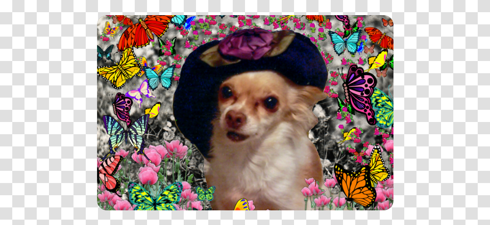 Chi Chi In Yellow Butterflies Chihuahua Puppy Dog, Collage, Poster, Advertisement, Pet Transparent Png